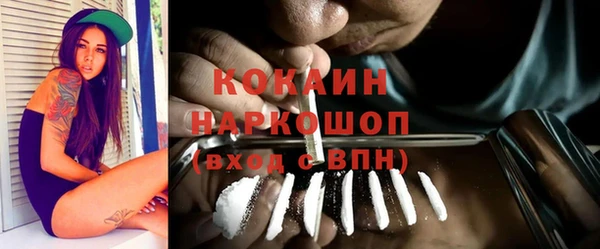 мескалин Богородицк