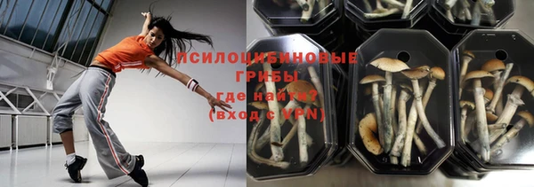 мескалин Богородицк