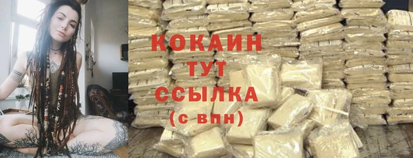 мескалин Богородицк